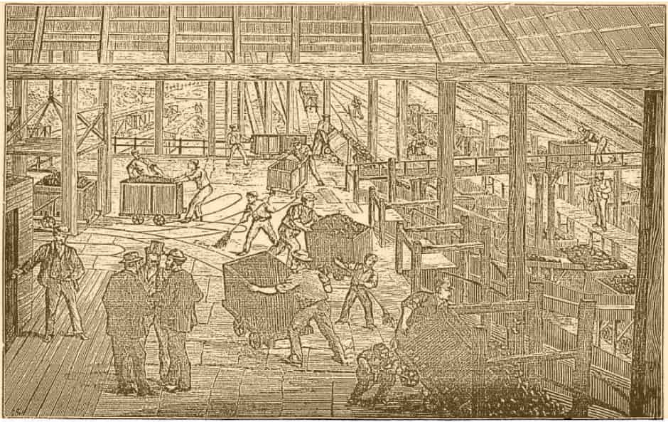 A.A. Company Coal Mines, Newcastle