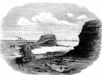 Nobbys breakwall